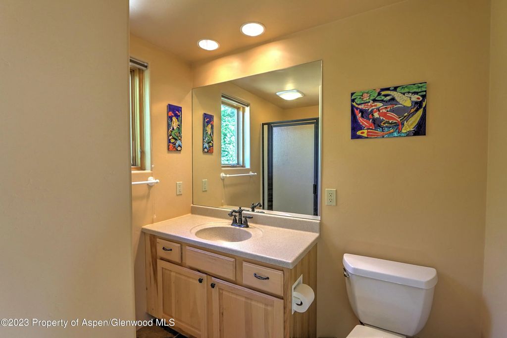 22 of 50 - 908 Red Mountain Drive, Glenwood Springs, CO