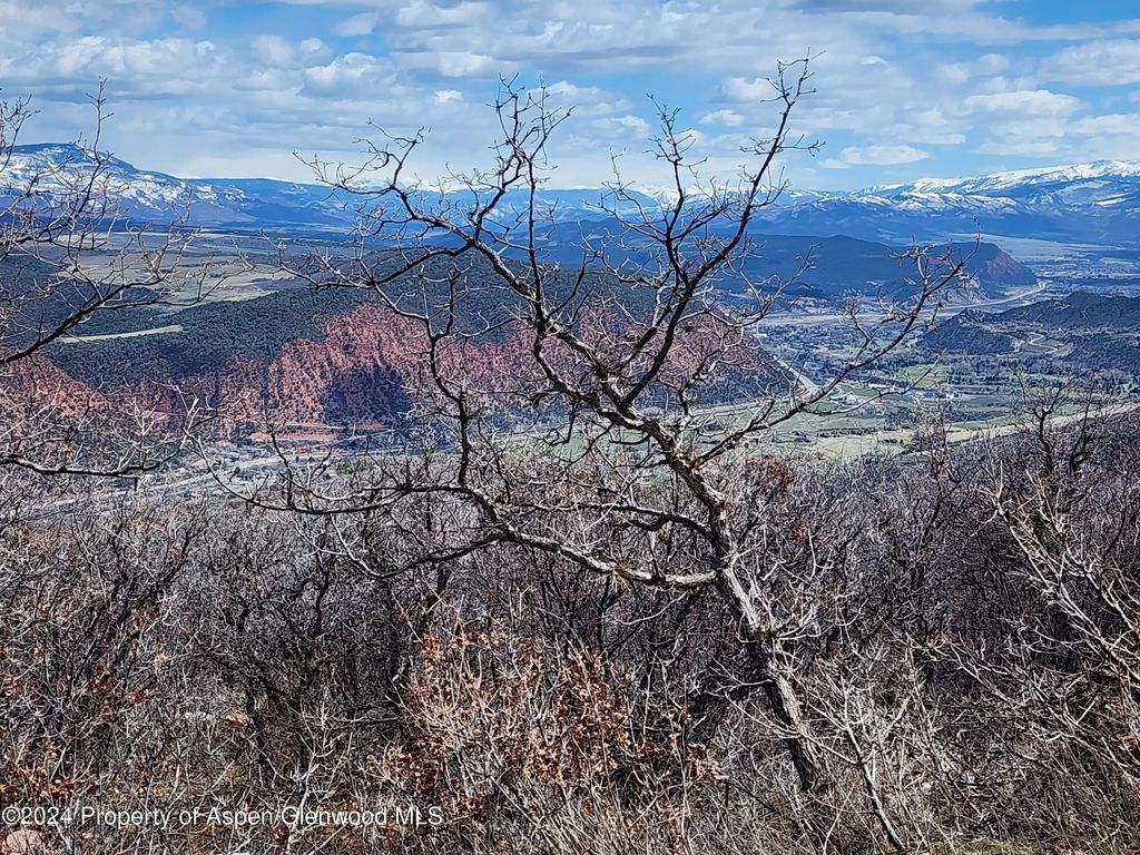 10 of 17 - 4500 Bear Wallow Lane, Glenwood Springs, CO