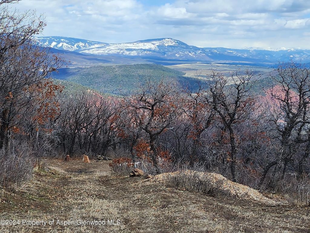 12 of 17 - 4500 Bear Wallow Lane, Glenwood Springs, CO