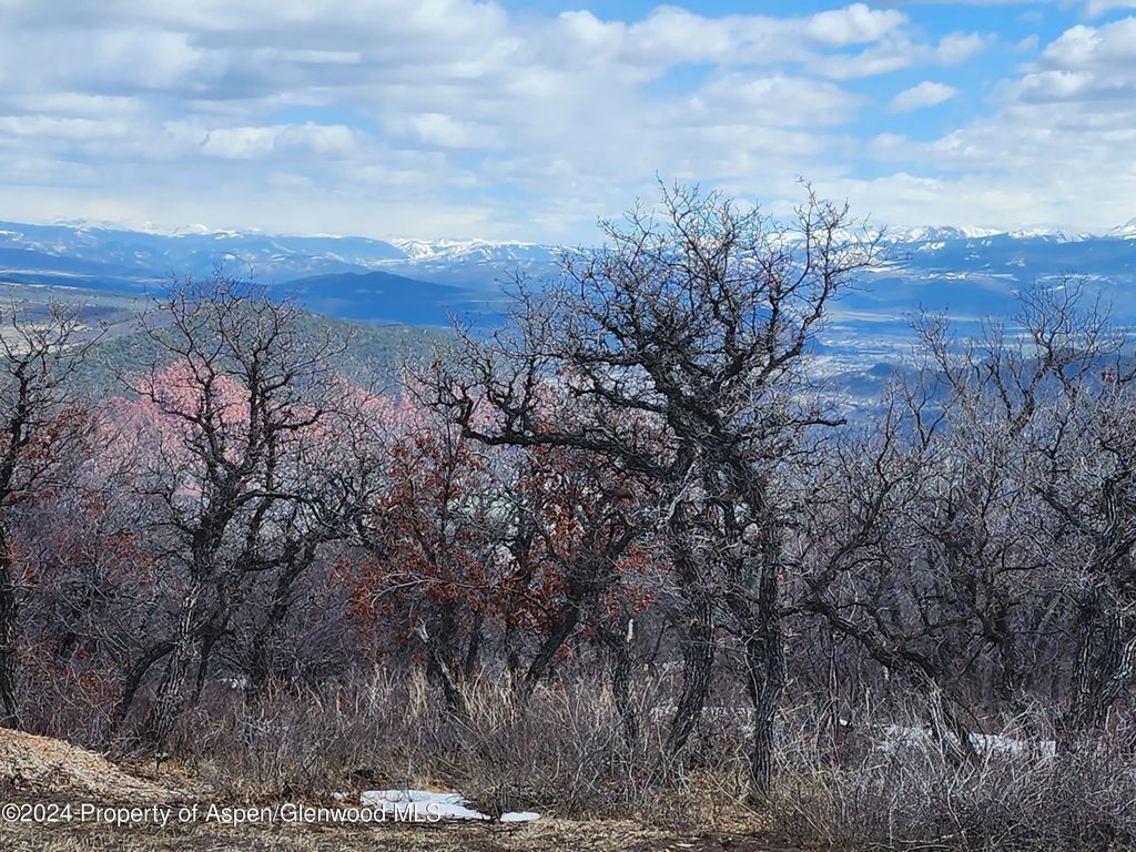 13 of 17 - 4500 Bear Wallow Lane, Glenwood Springs, CO