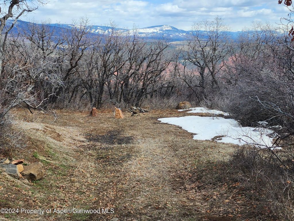 6 of 17 - 4500 Bear Wallow Lane, Glenwood Springs, CO