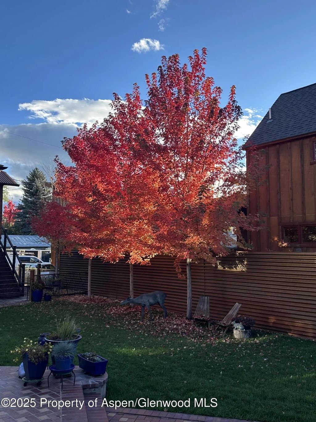 24 of 60 - 640 Lincoln Avenue 630, Carbondale, CO