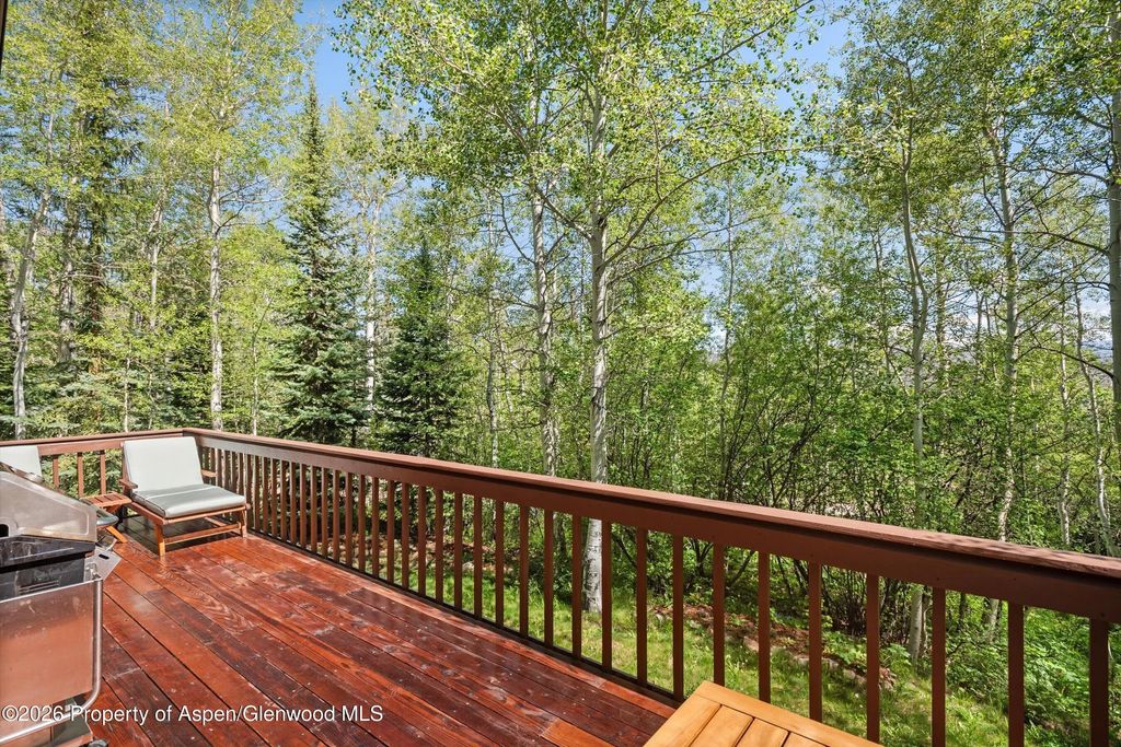 15 of 63 - 38 Valley View Road, Snowmass Village, CO