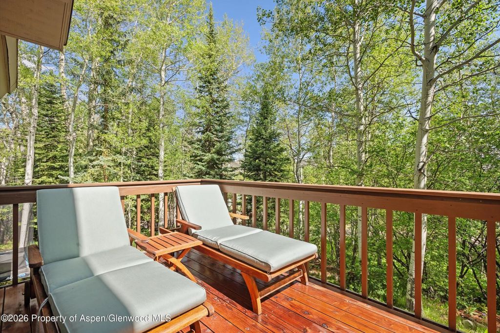 16 of 63 - 38 Valley View Road, Snowmass Village, CO