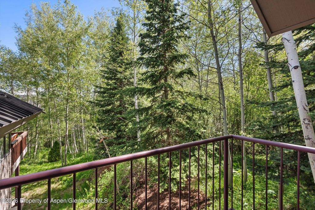 17 of 63 - 38 Valley View Road, Snowmass Village, CO