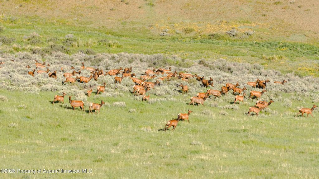 1 of 62 - Tbd County Road 57, Hayden, CO