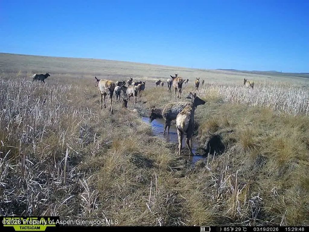 15 of 62 - Tbd County Road 57, Hayden, CO