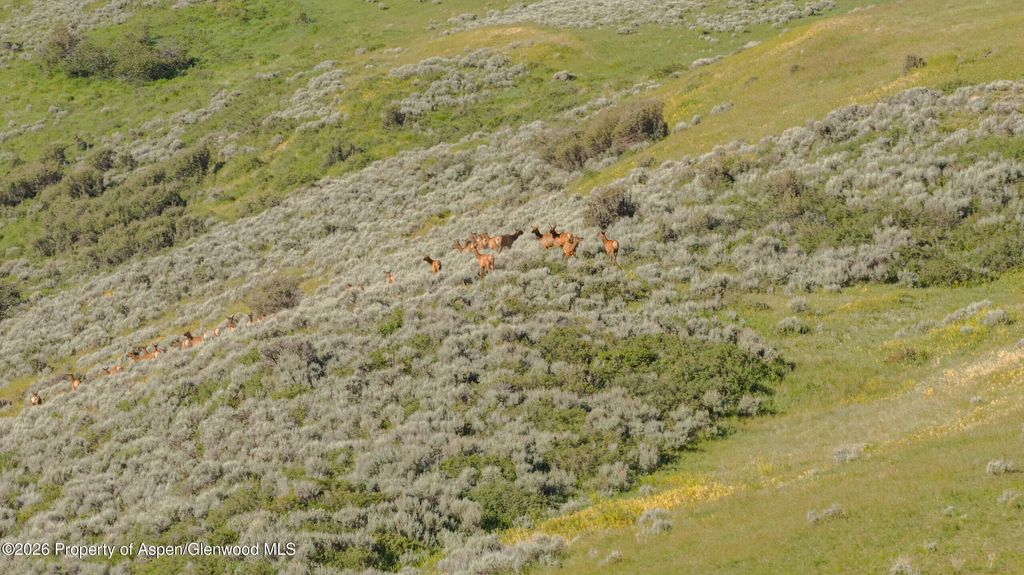 16 of 62 - Tbd County Road 57, Hayden, CO