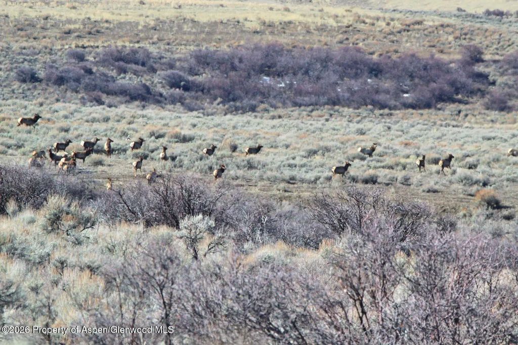 18 of 62 - Tbd County Road 57, Hayden, CO