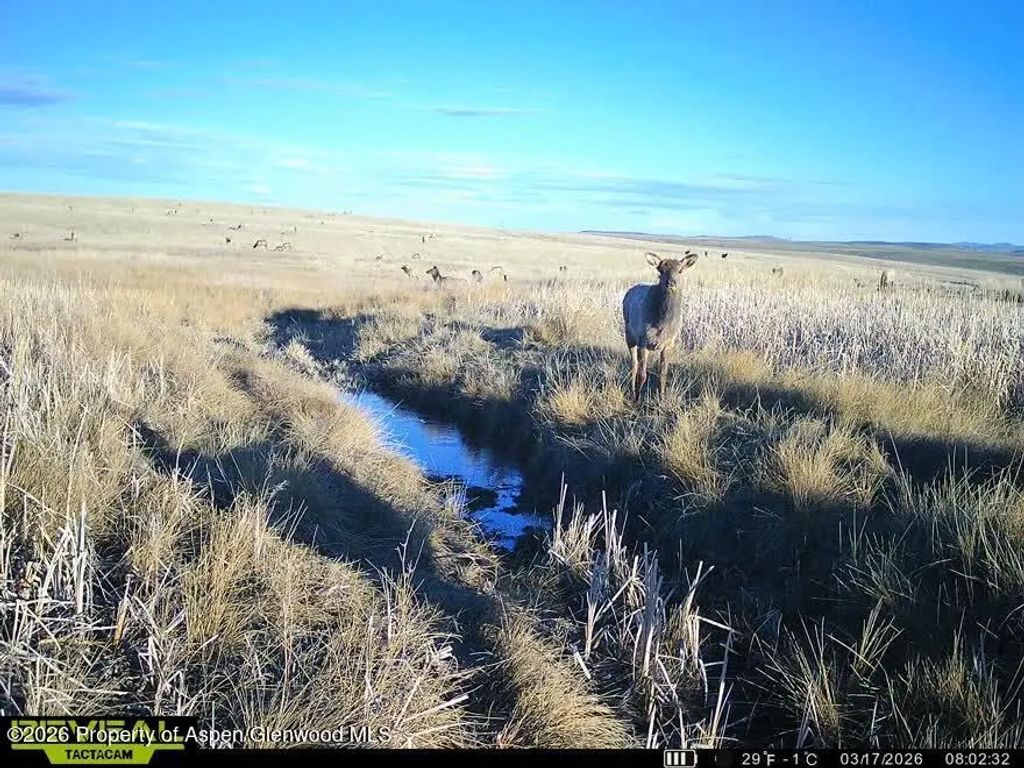 21 of 62 - Tbd County Road 57, Hayden, CO