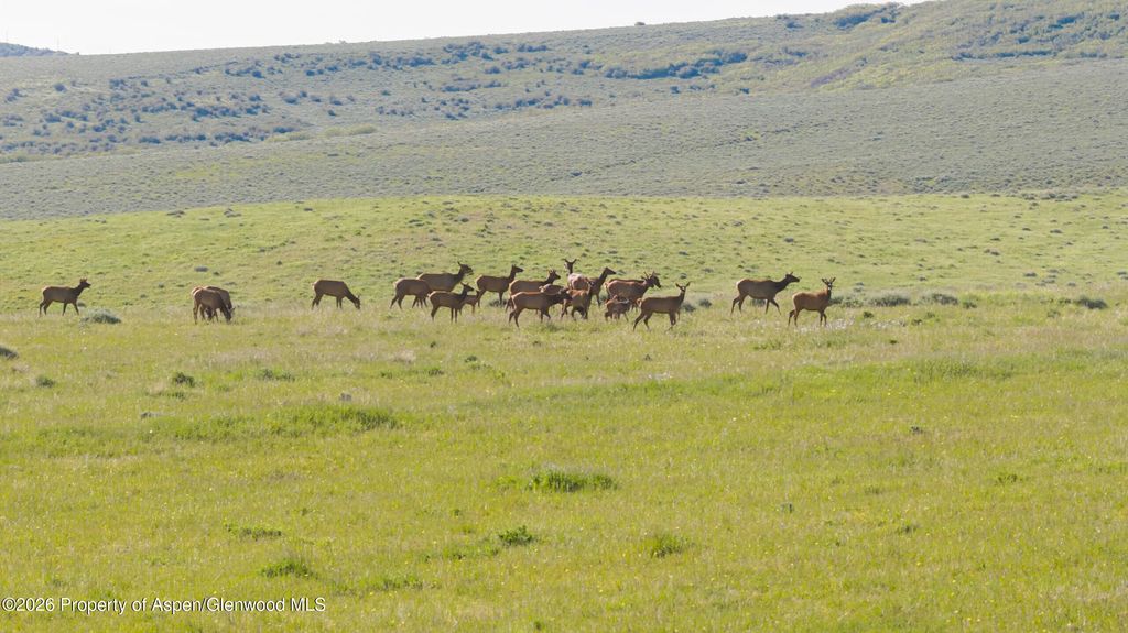 32 of 62 - Tbd County Road 57, Hayden, CO