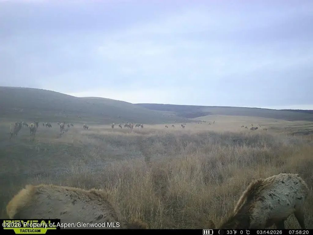 34 of 62 - Tbd County Road 57, Hayden, CO
