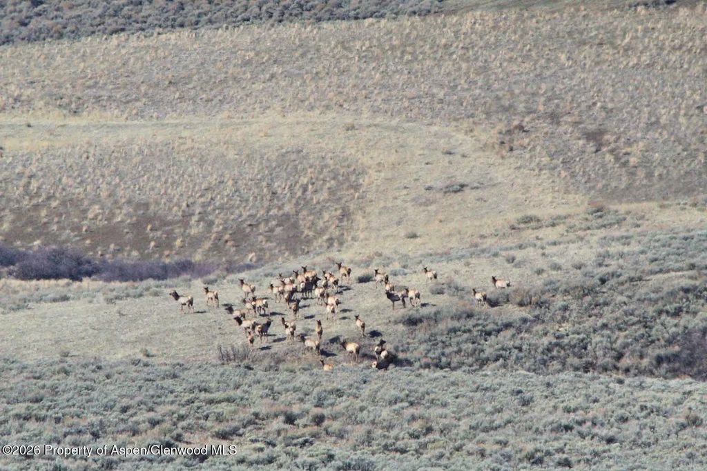 35 of 62 - Tbd County Road 57, Hayden, CO