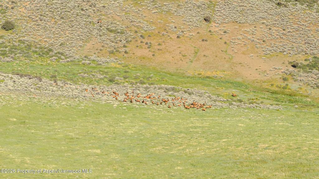 38 of 62 - Tbd County Road 57, Hayden, CO