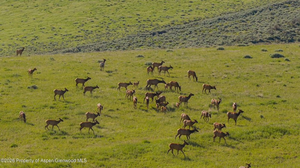 4 of 62 - Tbd County Road 57, Hayden, CO