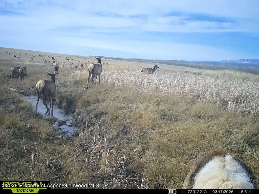 49 of 62 - Tbd County Road 57, Hayden, CO