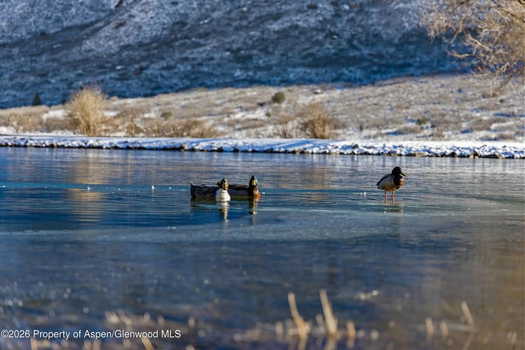 31 of 42 - 22675 Co-141, Whitewater, CO