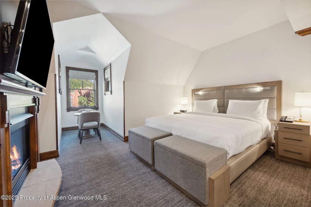 17 of 34 - 415 E Dean St, Unit 48, Week 8, Aspen, CO