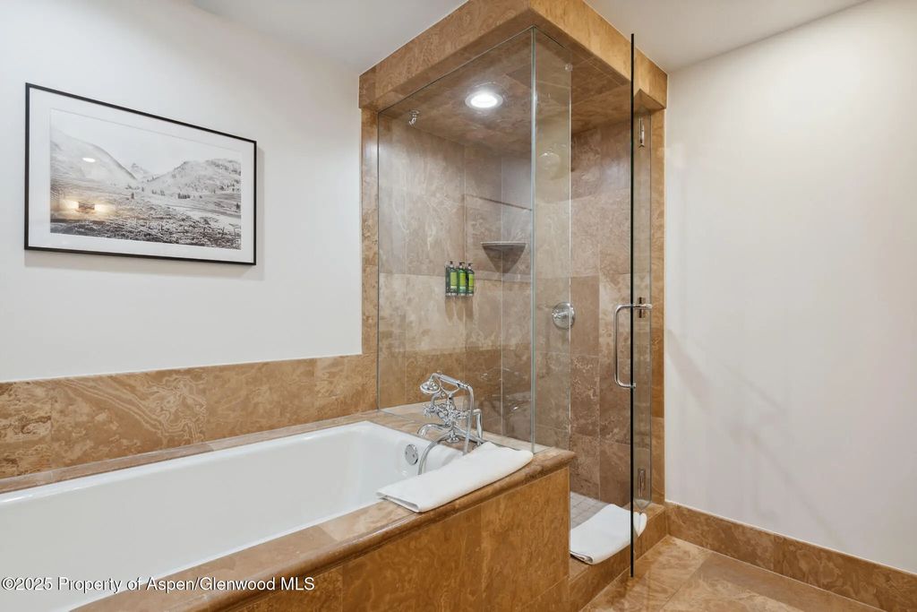 21 of 34 - 415 E Dean St, Unit 48, Week 8, Aspen, CO