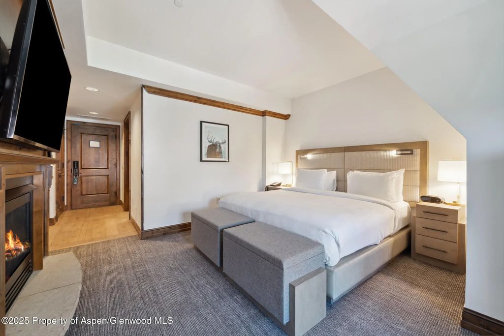 24 of 34 - 415 E Dean St, Unit 48, Week 8, Aspen, CO
