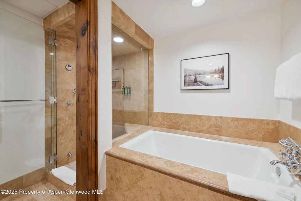 27 of 34 - 415 E Dean St, Unit 48, Week 8, Aspen, CO