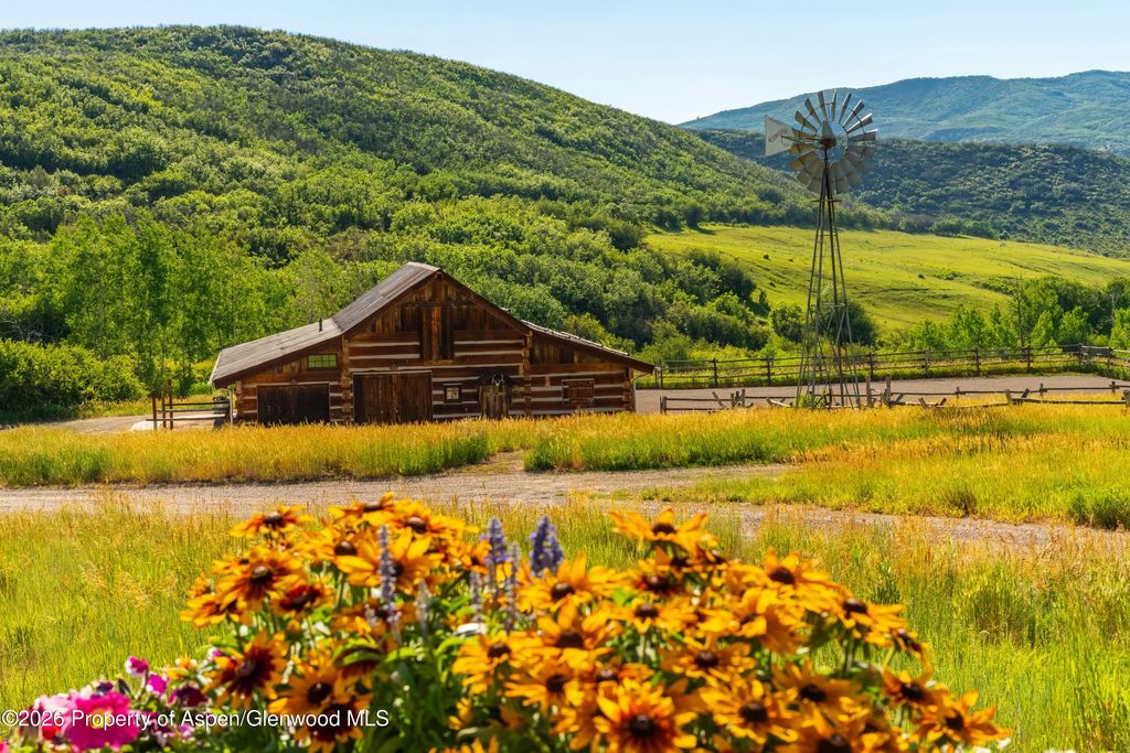 5 of 78 - 1350 Old Herron Road, Basalt, CO