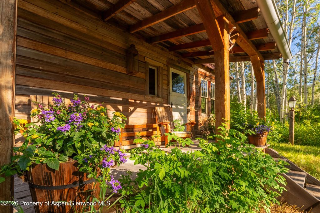 55 of 78 - 1350 Old Herron Road, Basalt, CO