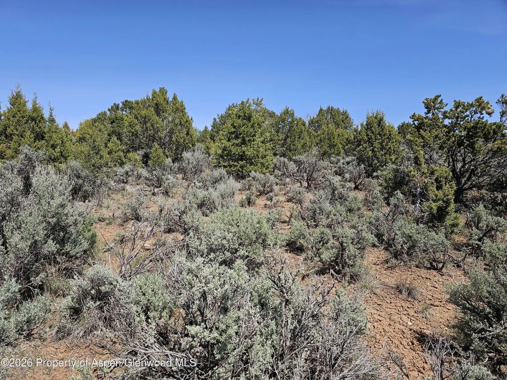 10 of 12 - 3504 Elk Springs Drive, Glenwood Springs, CO