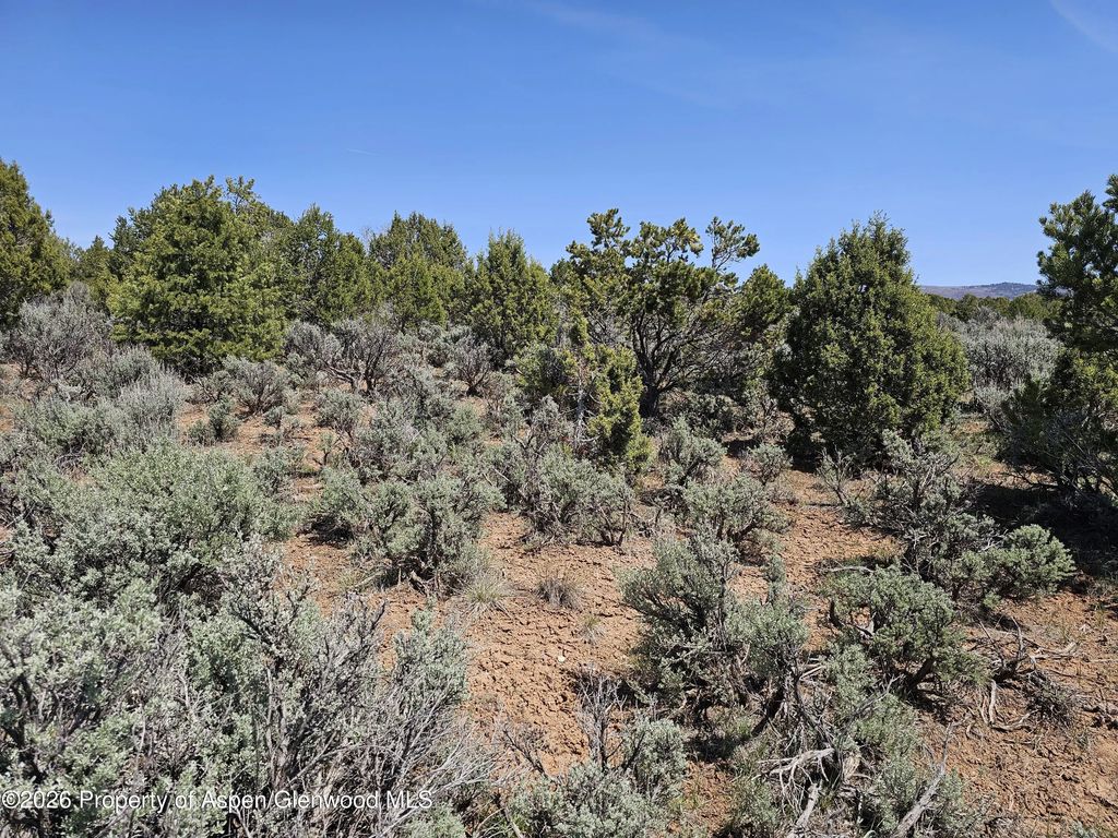 11 of 12 - 3504 Elk Springs Drive, Glenwood Springs, CO