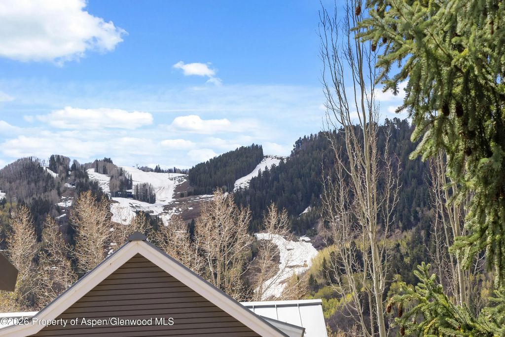 20 of 60 - 101 E Hallam Street, Aspen, CO