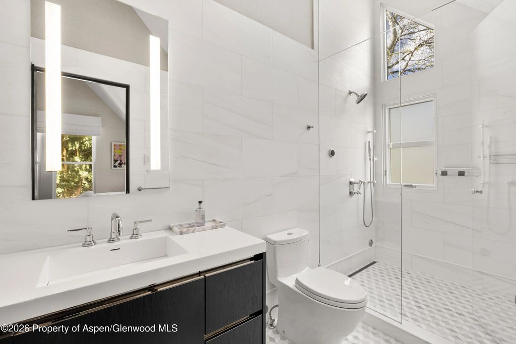 29 of 60 - 101 E Hallam Street, Aspen, CO