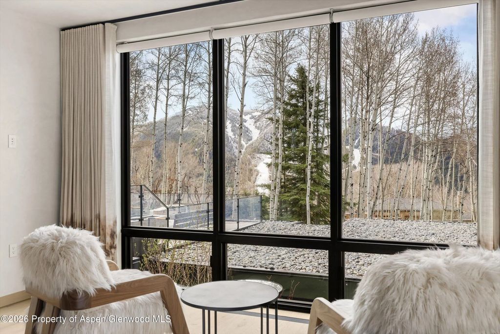 12 of 23 - 323 E Reds Road, Aspen, CO