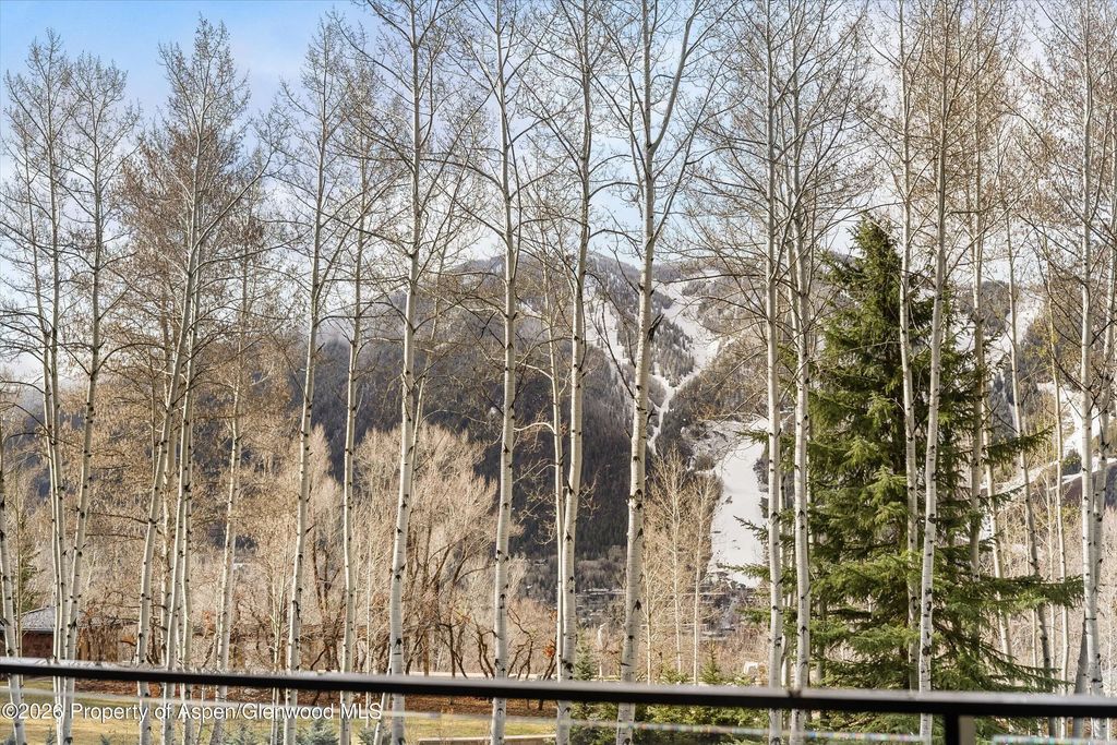 8 of 23 - 323 E Reds Road, Aspen, CO