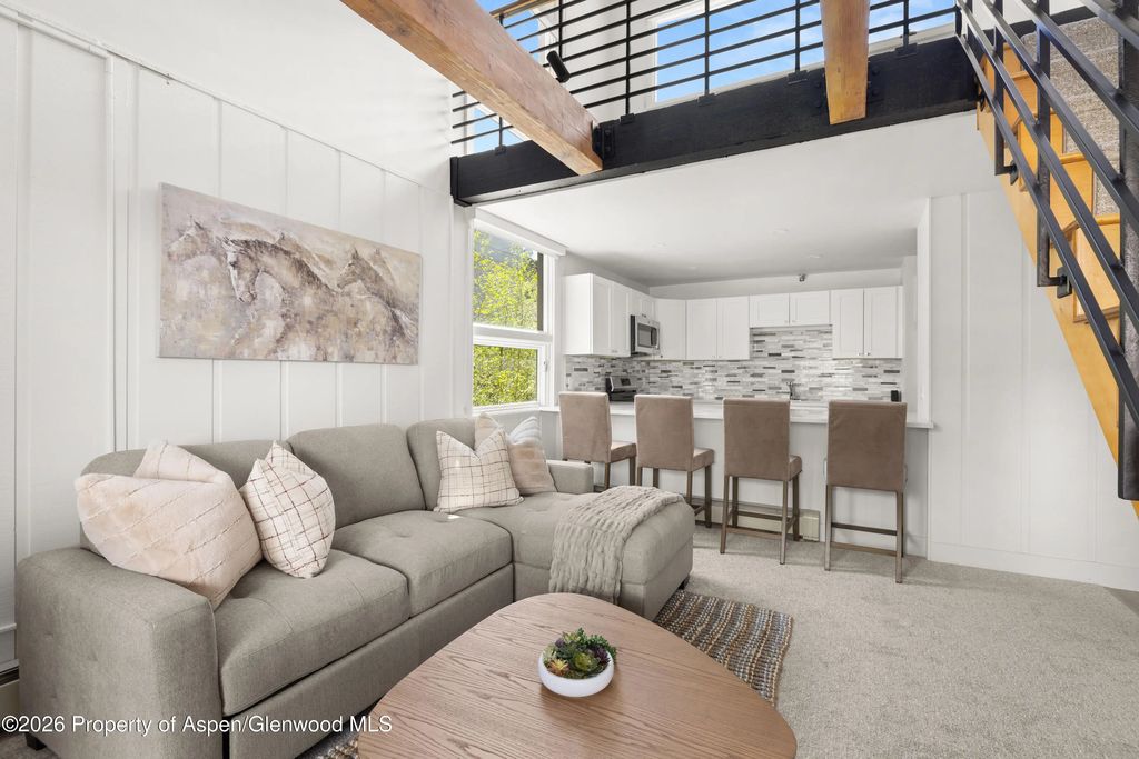 605 E Main Street #9, Aspen
