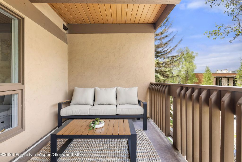 8 of 16 - 605 E Main Street #9, Aspen, CO