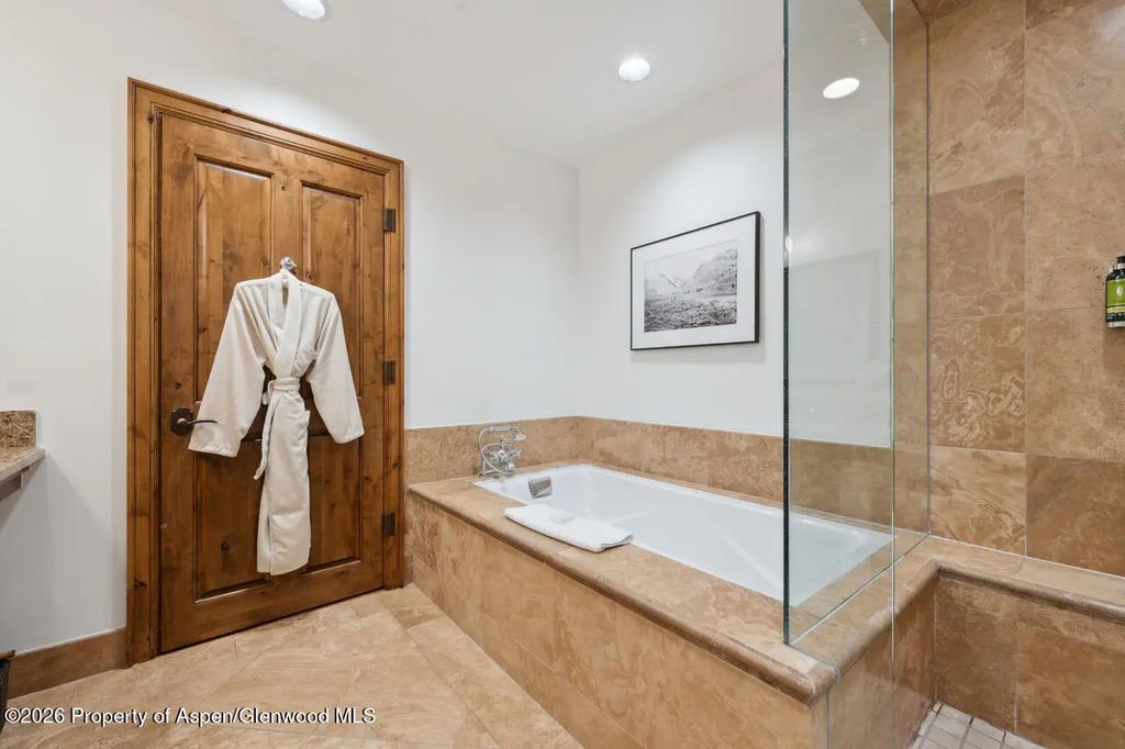 21 of 29 - 415 E Dean St, Unit 5, Weeks 9 & 10, Aspen, CO