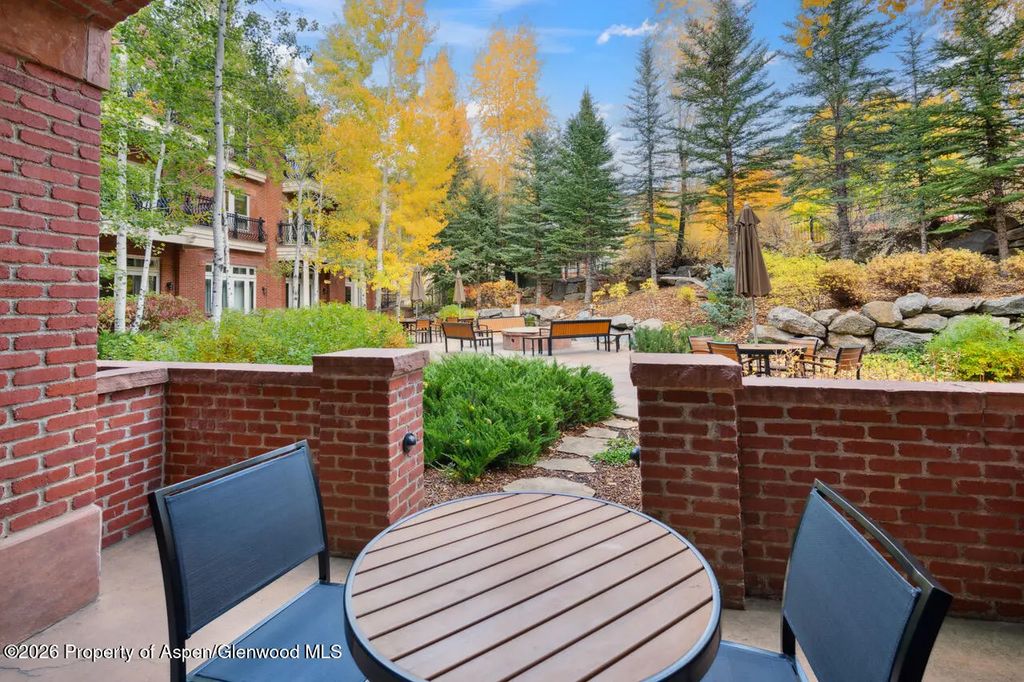 24 of 29 - 415 E Dean St, Unit 5, Weeks 9 & 10, Aspen, CO