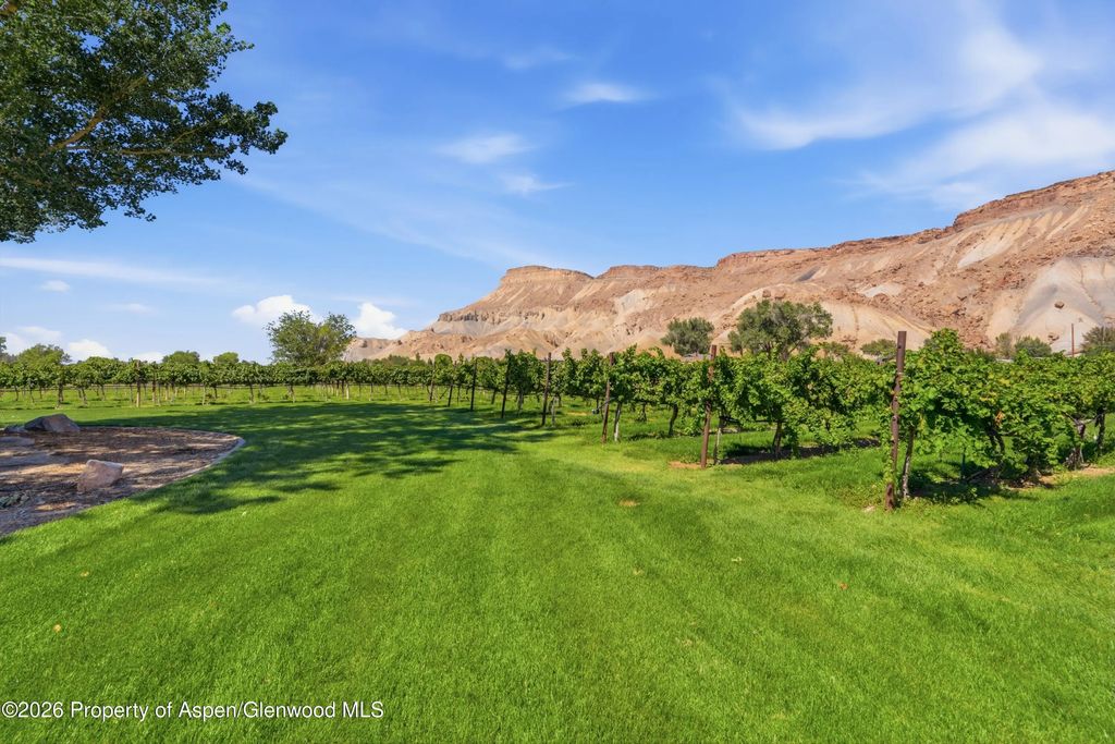 9 of 31 - 759 36 3/10 Road, Palisade, CO