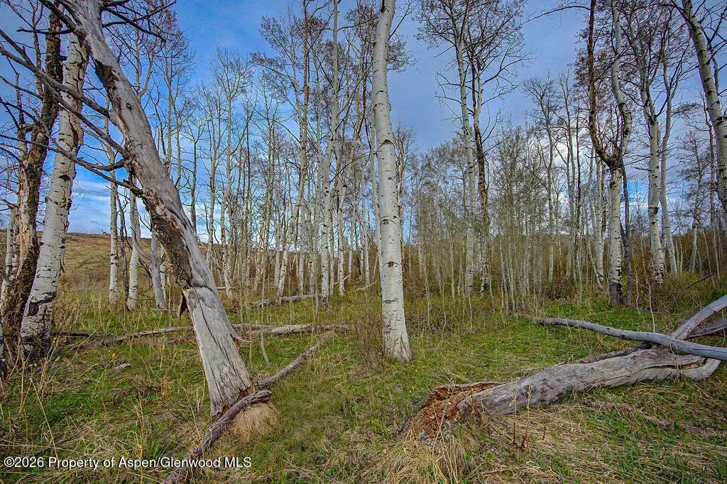 18 of 38 - 3539 Boulder Drive Lots: 372, 373, 374, Craig, CO