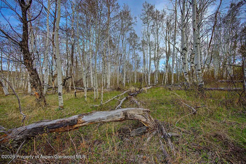 21 of 38 - 3539 Boulder Drive Lots: 372, 373, 374, Craig, CO