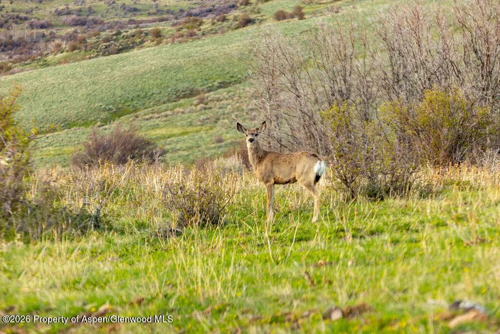 4 of 38 - 3539 Boulder Drive Lots: 372, 373, 374, Craig, CO