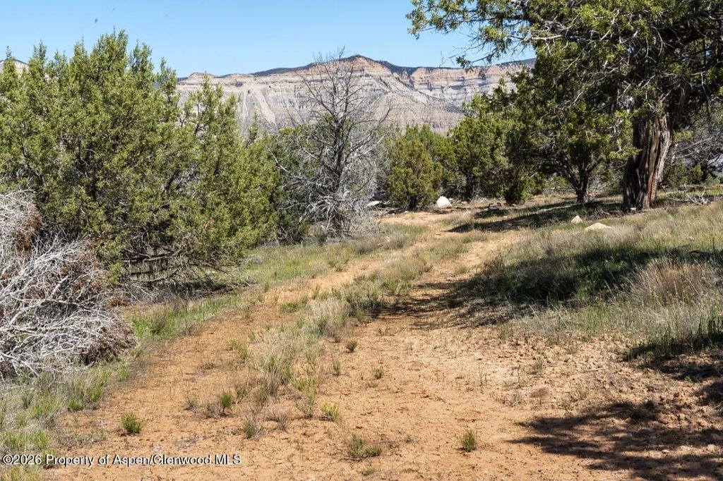13 of 25 - Tbd T Road, De Beque, CO