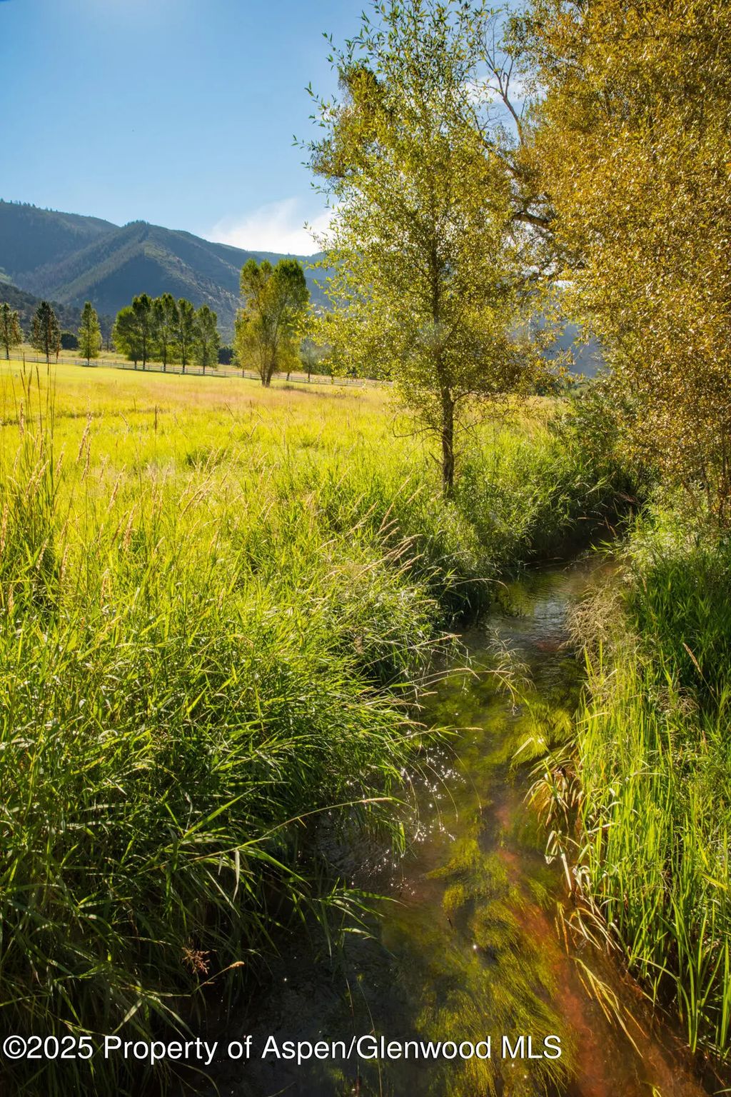 44 of 61 - 2147 Lower River Road, Snowmass, CO