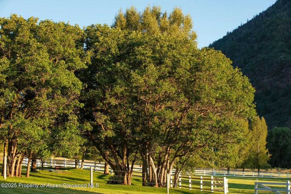 59 of 61 - 2147 Lower River Road, Snowmass, CO
