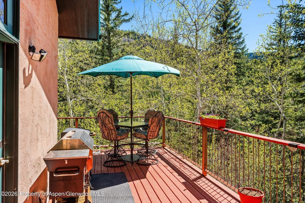22 of 24 - 200 Elk Mountain Drive, Redstone, CO