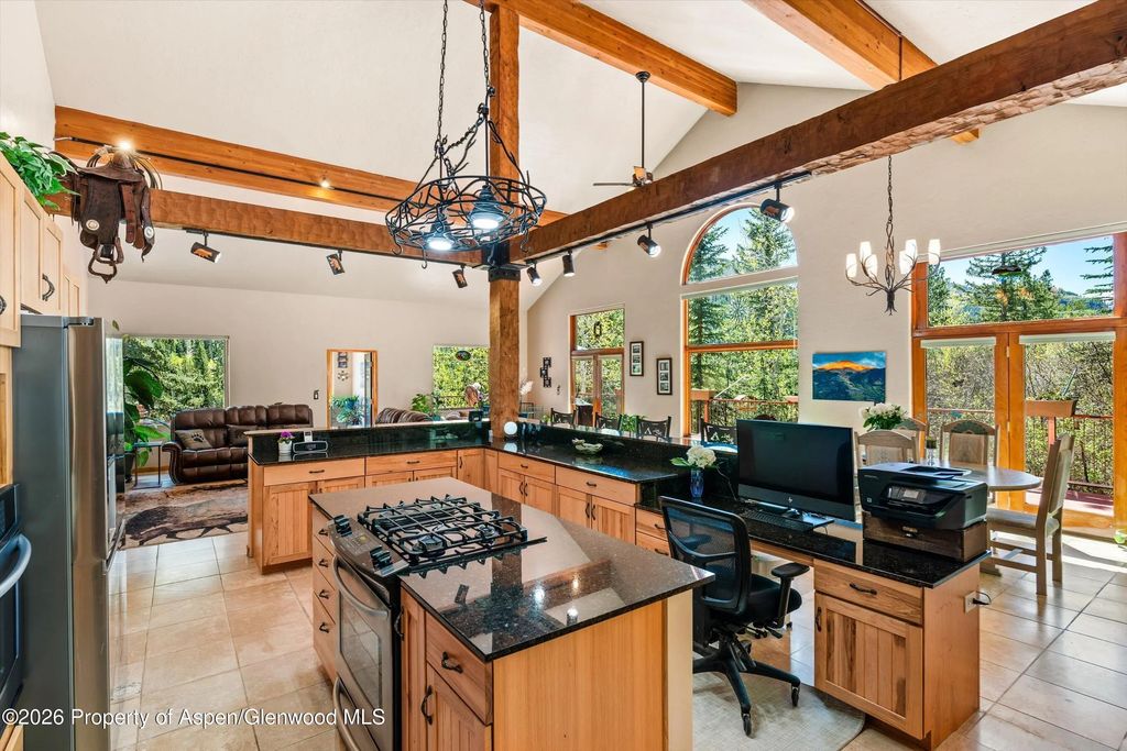 8 of 24 - 200 Elk Mountain Drive, Redstone, CO
