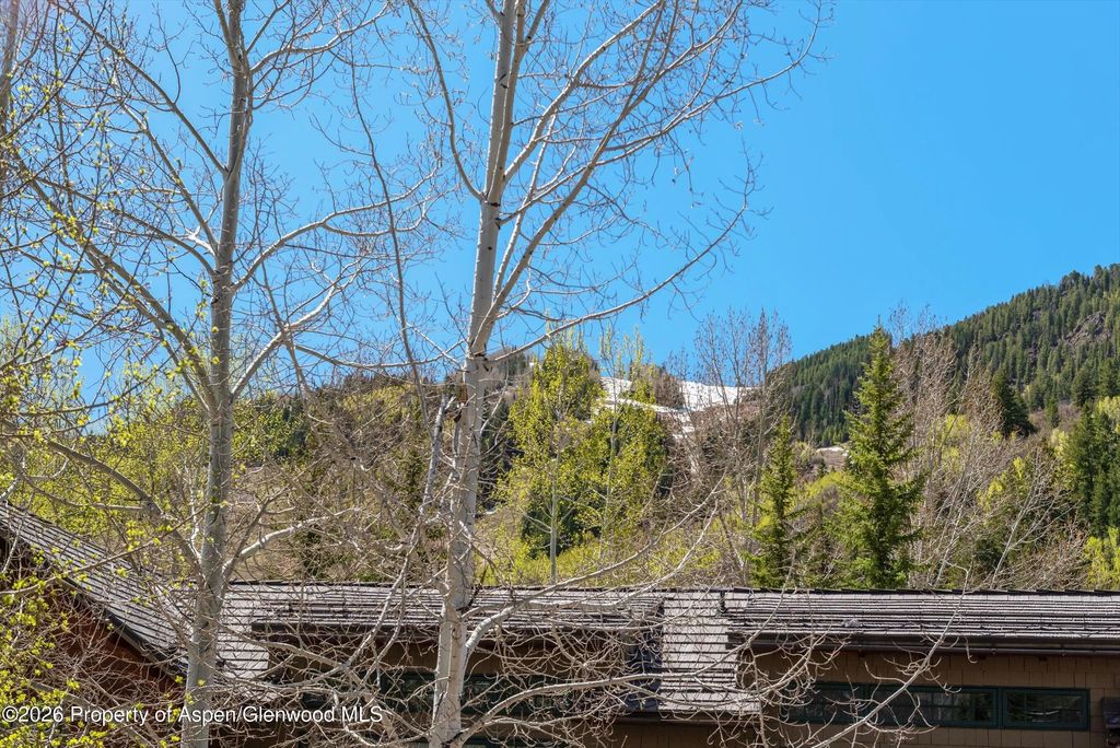 4 of 28 - 121 W Hyman Avenue B, Aspen, CO