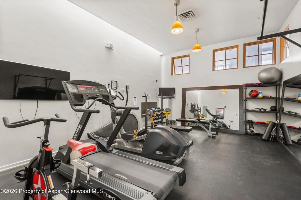 17 of 25 - 231 Robinson Street 318, Basalt, CO