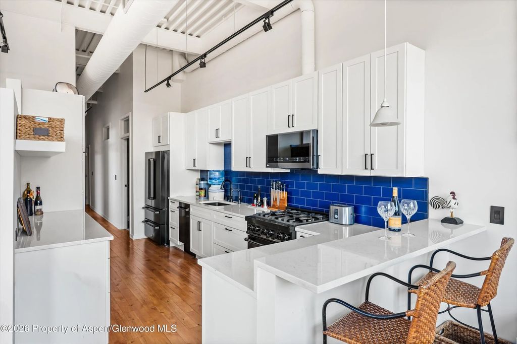 361 Robinson Street 208, Basalt