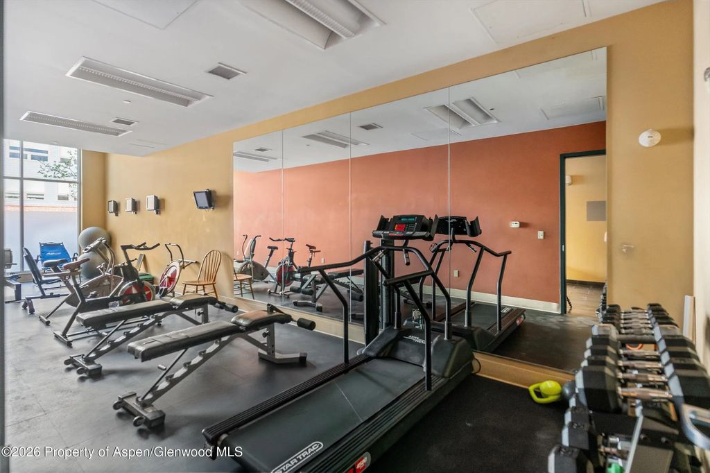 13 of 15 - 361 Robinson Street 208, Basalt, CO